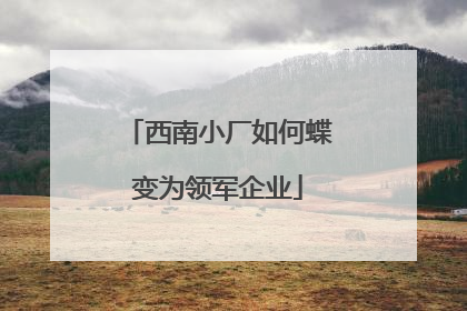 西南小厂如何蝶变为领军企业