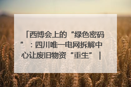 西博会上的“绿色密码”：四川唯一电网拆解中心让废旧物资“重生”｜西博寻“新”记