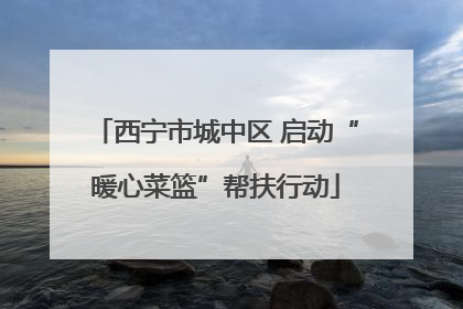 西宁市城中区 启动“暖心菜篮”帮扶行动