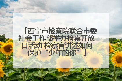 西宁市检察院联合市委社会工作部举办检察开放日活动 检察官讲述如何保护“少年的你”