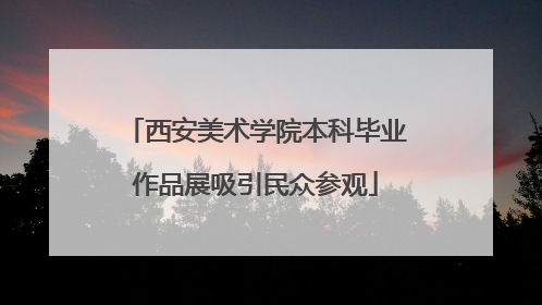西安美术学院本科毕业作品展吸引民众参观