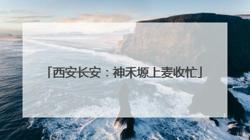 西安长安：神禾塬上麦收忙