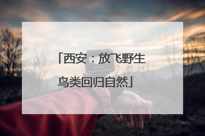 西安：放飞野生鸟类回归自然
