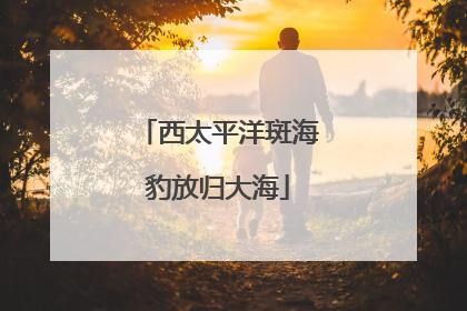 西太平洋斑海豹放归大海