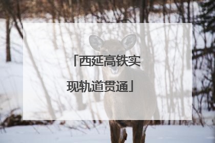 西延高铁实现轨道贯通