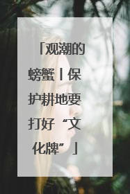 观潮的螃蟹丨保护耕地要打好“文化牌”