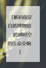 解码保定自然博物馆：跨越时空的生命交响