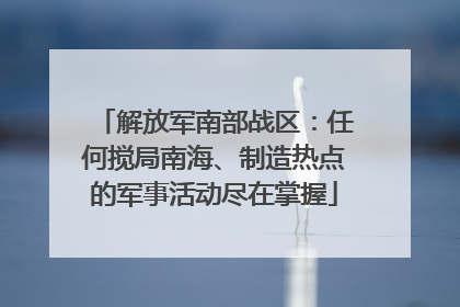 解放军南部战区：任何搅局南海、制造热点的军事活动尽在掌握
