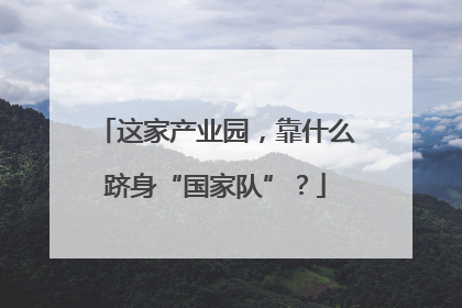 这家产业园，靠什么跻身“国家队”？