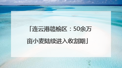连云港赣榆区：50余万亩小麦陆续进入收割期