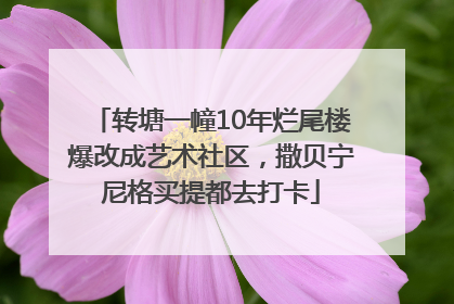 转塘一幢10年烂尾楼爆改成艺术社区，撒贝宁尼格买提都去打卡