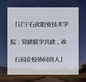 辽宁石化职业技术学院：党建联学共建，政行园企校协同育人