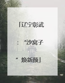 辽宁彰武：“沙窝子”焕新颜