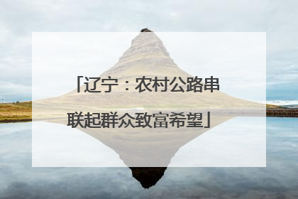 辽宁：农村公路串联起群众致富希望
