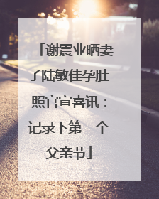 谢震业晒妻子陆敏佳孕肚照官宣喜讯：记录下第一个父亲节