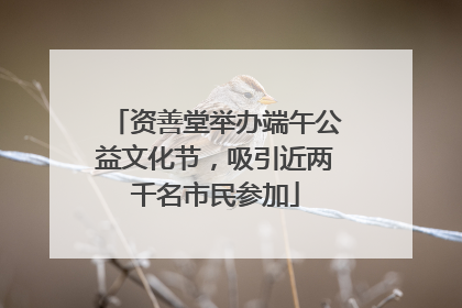资善堂举办端午公益文化节，吸引近两千名市民参加