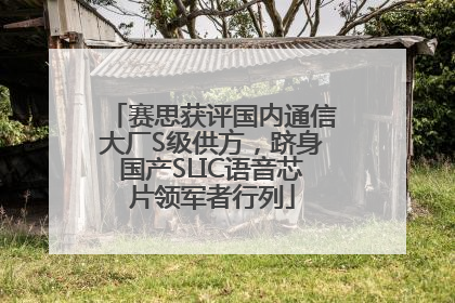 赛思获评国内通信大厂S级供方，跻身国产SLIC语音芯片领军者行列