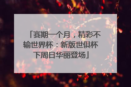赛期一个月，精彩不输世界杯：新版世俱杯下周日华丽登场