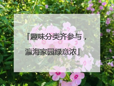 趣味分类齐参与，瀛海家园绿意浓