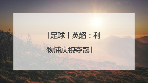 足球丨英超：利物浦庆祝夺冠