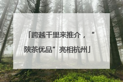 跨越千里来推介，“陕茶优品”亮相杭州