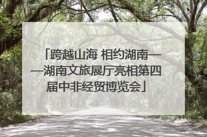 跨越山海 相约湖南——湖南文旅展厅亮相第四届中非经贸博览会