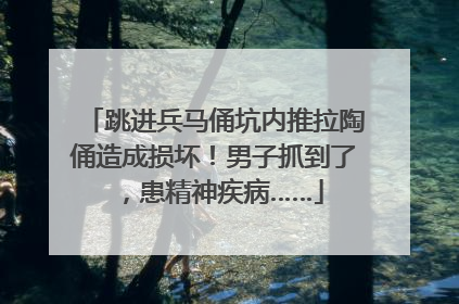 跳进兵马俑坑内推拉陶俑造成损坏！男子抓到了，患精神疾病……