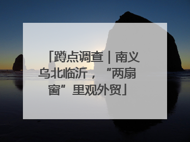 蹲点调查｜南义乌北临沂，“两扇窗”里观外贸