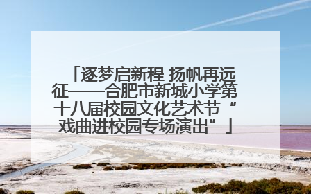 逐梦启新程 扬帆再远征——合肥市新城小学第十八届校园文化艺术节“戏曲进校园专场演出”