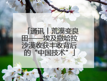 通讯丨荒漠变良田——埃及撒哈拉沙漠收获丰收背后的“中国技术”