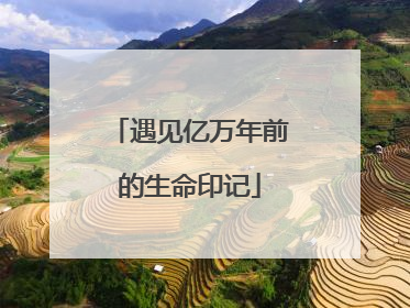 遇见亿万年前的生命印记