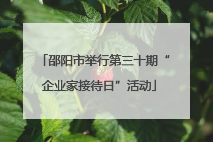 邵阳市举行第三十期“企业家接待日”活动