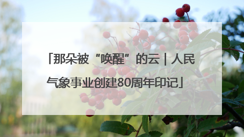 那朵被“唤醒”的云｜人民气象事业创建80周年印记