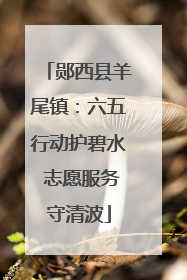 郧西县羊尾镇：六五行动护碧水 志愿服务守清波