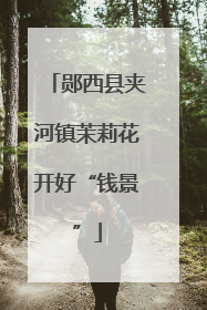 郧西县夹河镇茉莉花开好“钱景”