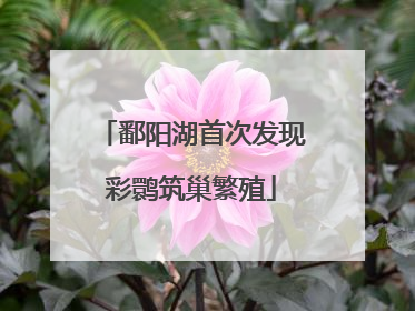 鄱阳湖首次发现彩鹮筑巢繁殖