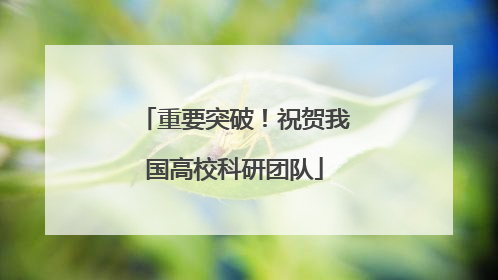 重要突破！祝贺我国高校科研团队