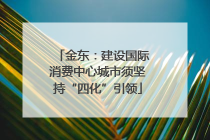 金东：建设国际消费中心城市须坚持“四化”引领