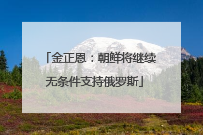 金正恩：朝鲜将继续无条件支持俄罗斯
