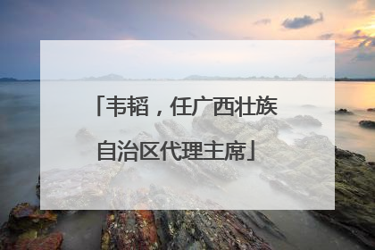 韦韬，任广西壮族自治区代理主席