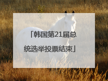 韩国第21届总统选举投票结束