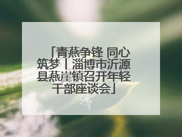 青燕争锋 同心筑梦丨淄博市沂源县燕崖镇召开年轻干部座谈会