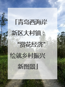 青岛西海岸新区大村镇：“赏花经济”绘就乡村振兴新图景