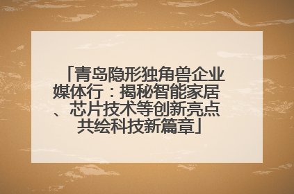青岛隐形独角兽企业媒体行：揭秘智能家居、芯片技术等创新亮点 共绘科技新篇章