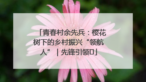 青春村余先兵：樱花树下的乡村振兴“领航人”｜先锋引领⑪