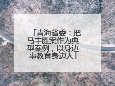 青海省委：把马丰胜案作为典型案例，以身边事教育身边人