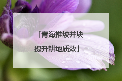 青海推坡并块提升耕地质效