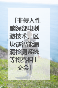 非侵入性脑深部电刺激技术、区块链智能漏洞检测系统等将亮相上交会