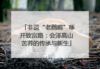 非遗“老鹳嘴”啄开致富路：会泽高山苦荞的传承与新生