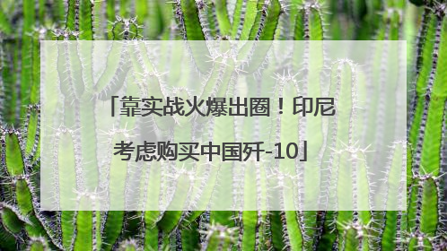 靠实战火爆出圈！印尼考虑购买中国歼-10